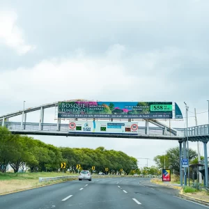 Fray Junípero regreso